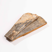 Slaty Shale Record - Earth Love Gallery Collection