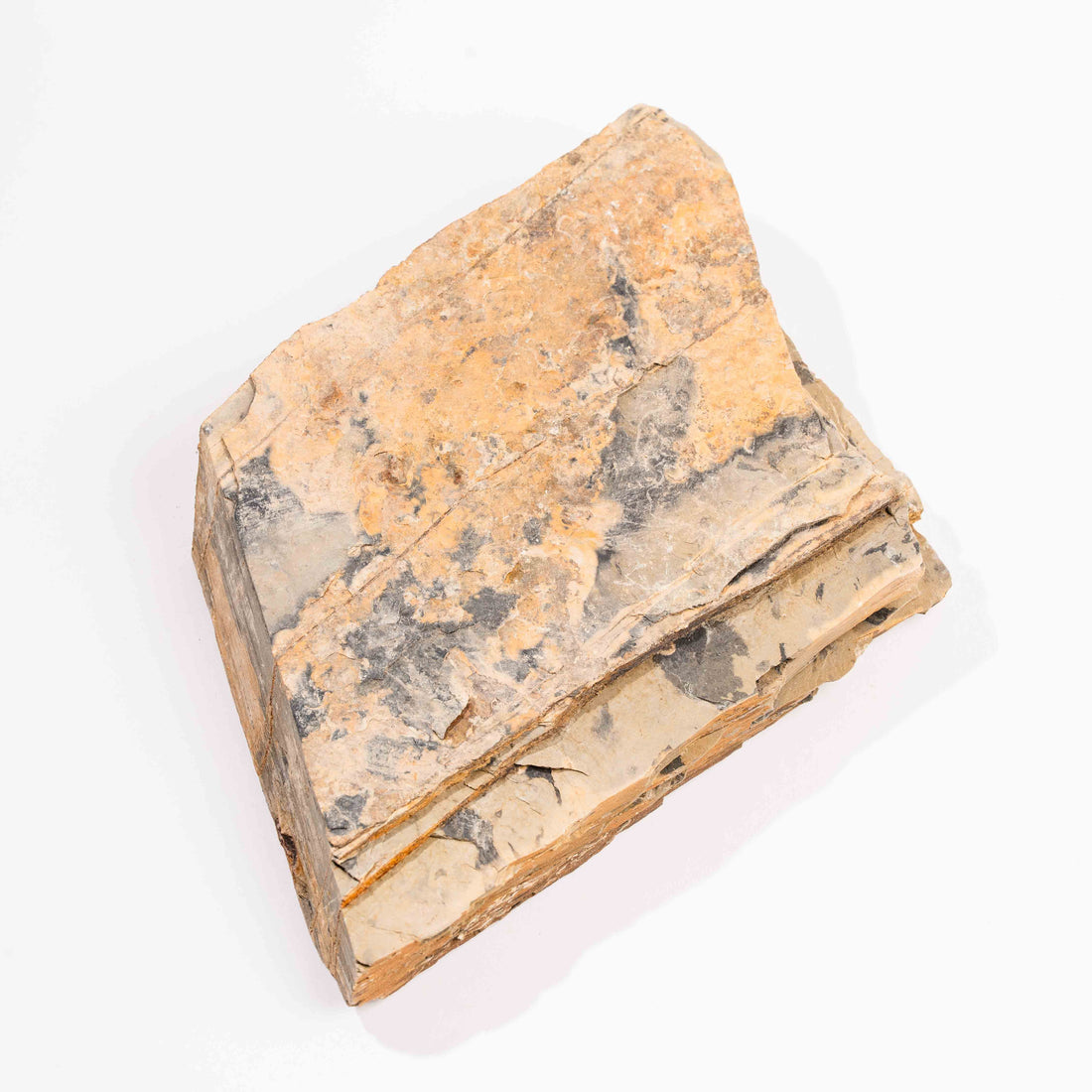 Slaty Shale Record - Earth Love Gallery Collection