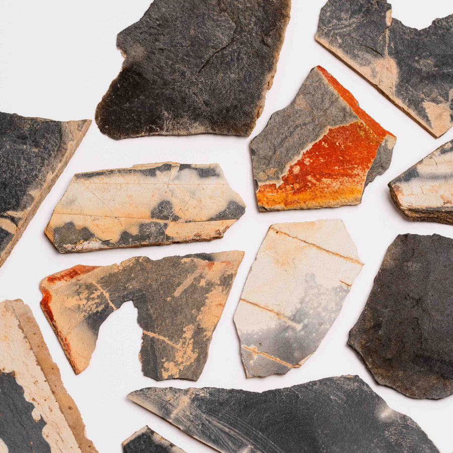 Slaty Shale Record, Intuitive Picks - Earth Love Gallery Collection