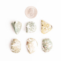 Jasper, Camouflage - Tumbled Stone(s)