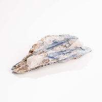 Kyanite, Blue- AA Grade Specimen