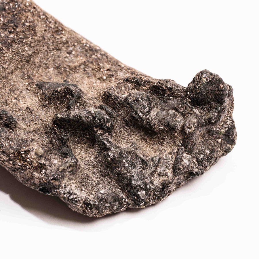 Alexandrite in Mica Schist - Earth Love Gallery Collection