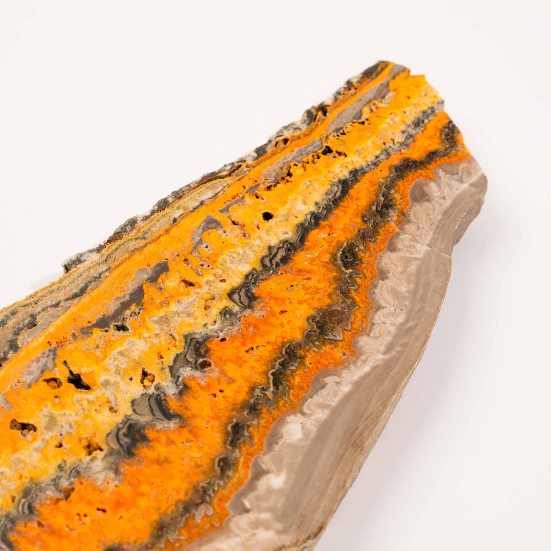 Jasper, Bumble Bee - Slab, Large