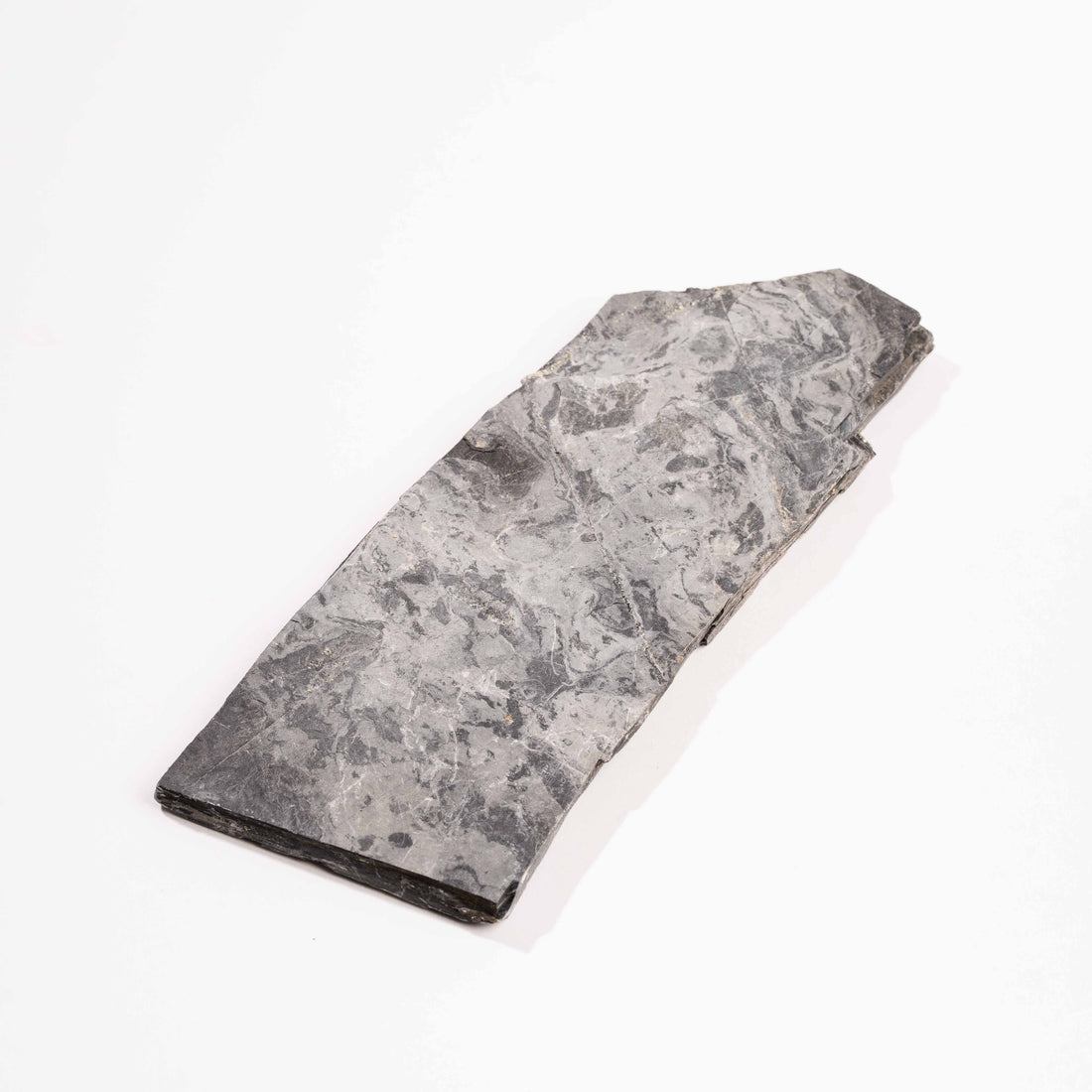 Slaty Shale Record - Earth Love Gallery Collection