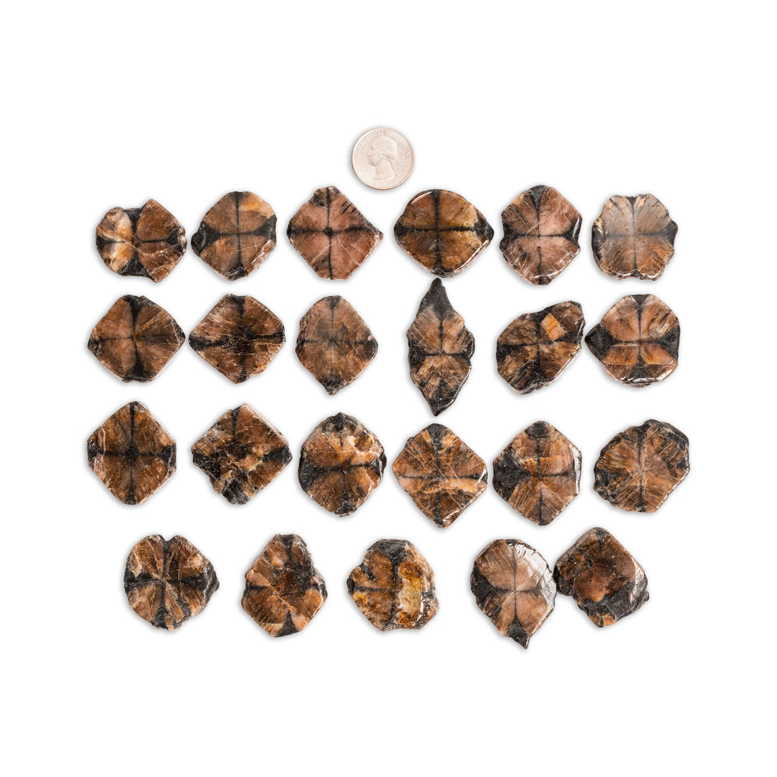 Chiastolite (Andalusite Cross)