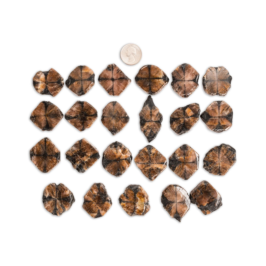 Chiastolite (Andalusite Cross)