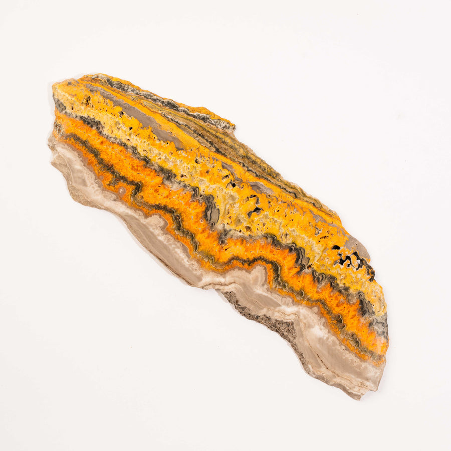 Bumble Bee Jasper - Slab, Large