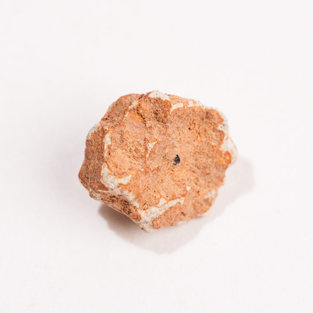Lunar Meteorite - Bechar 007