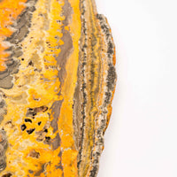 Bumble Bee Jasper - Slab, Large