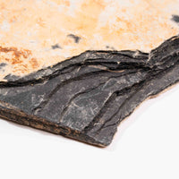Slaty Shale Record - Earth Love Gallery Collection