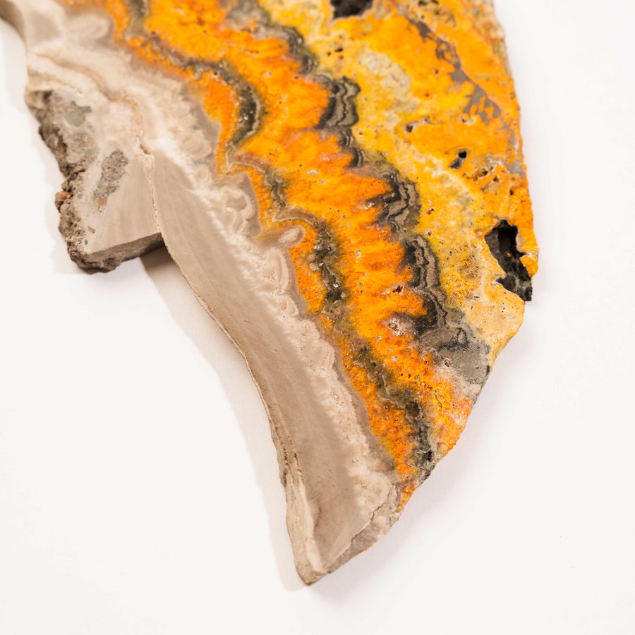 Bumble Bee Jasper - Slab, Large