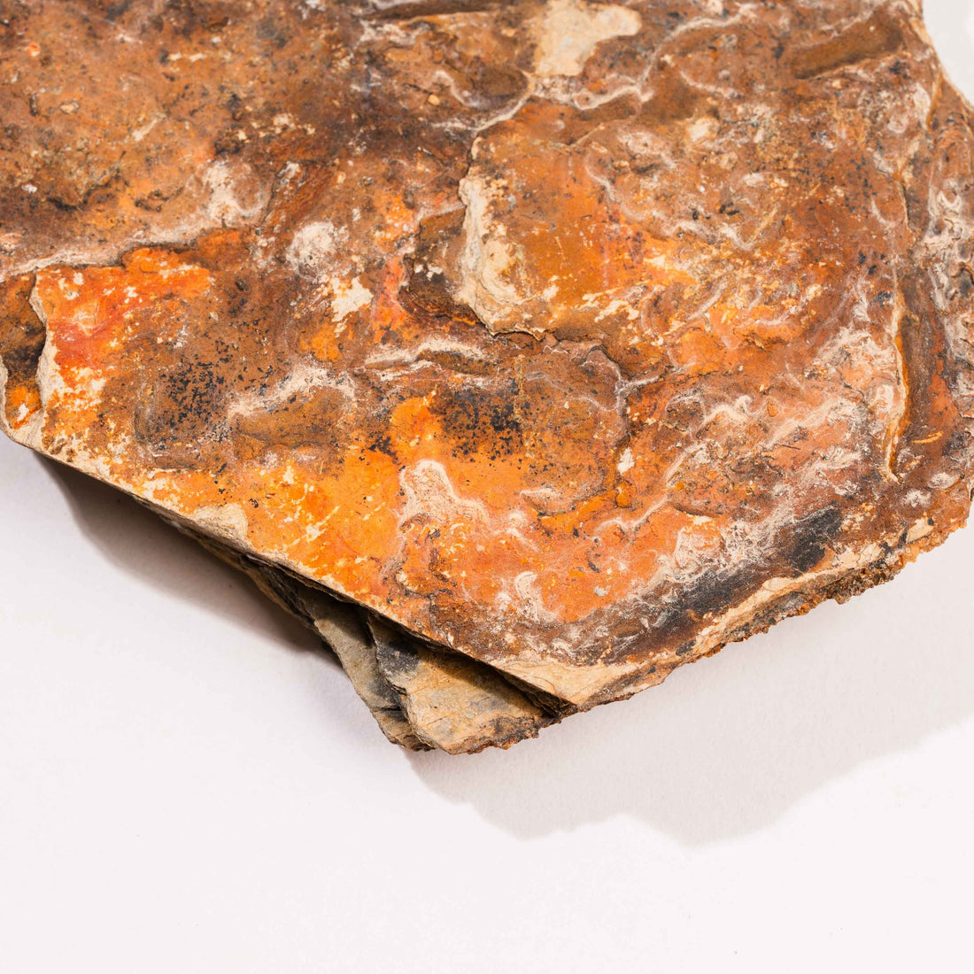 Slaty Shale Record - Earth Love Gallery Collection