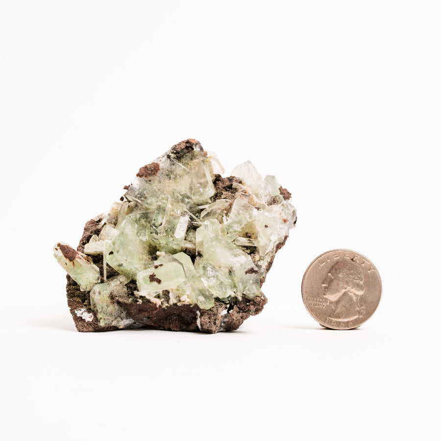 Apophyllite, Green - Cluster