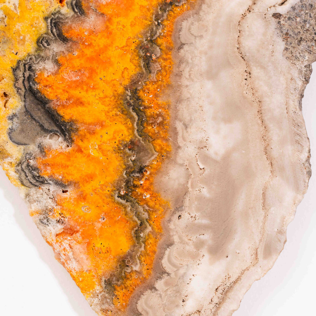 Jasper, Bumble Bee - Slab, Large