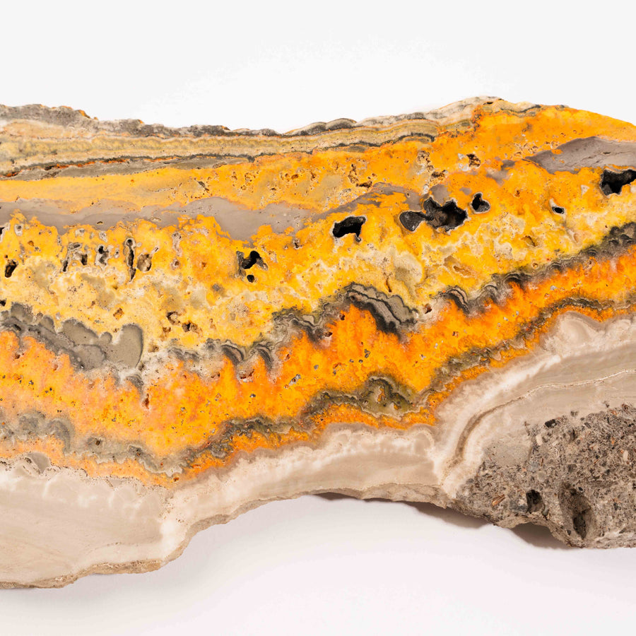 Bumble Bee Jasper - Slab, Large