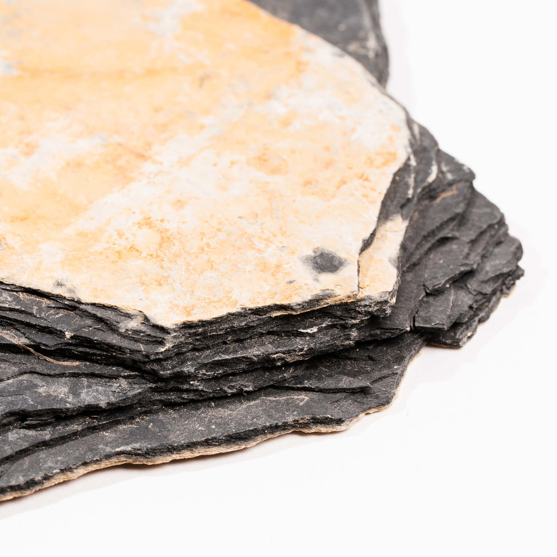 Slaty Shale Record - Earth Love Gallery Collection