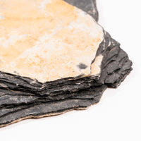 Slaty Shale Record - Earth Love Gallery Collection