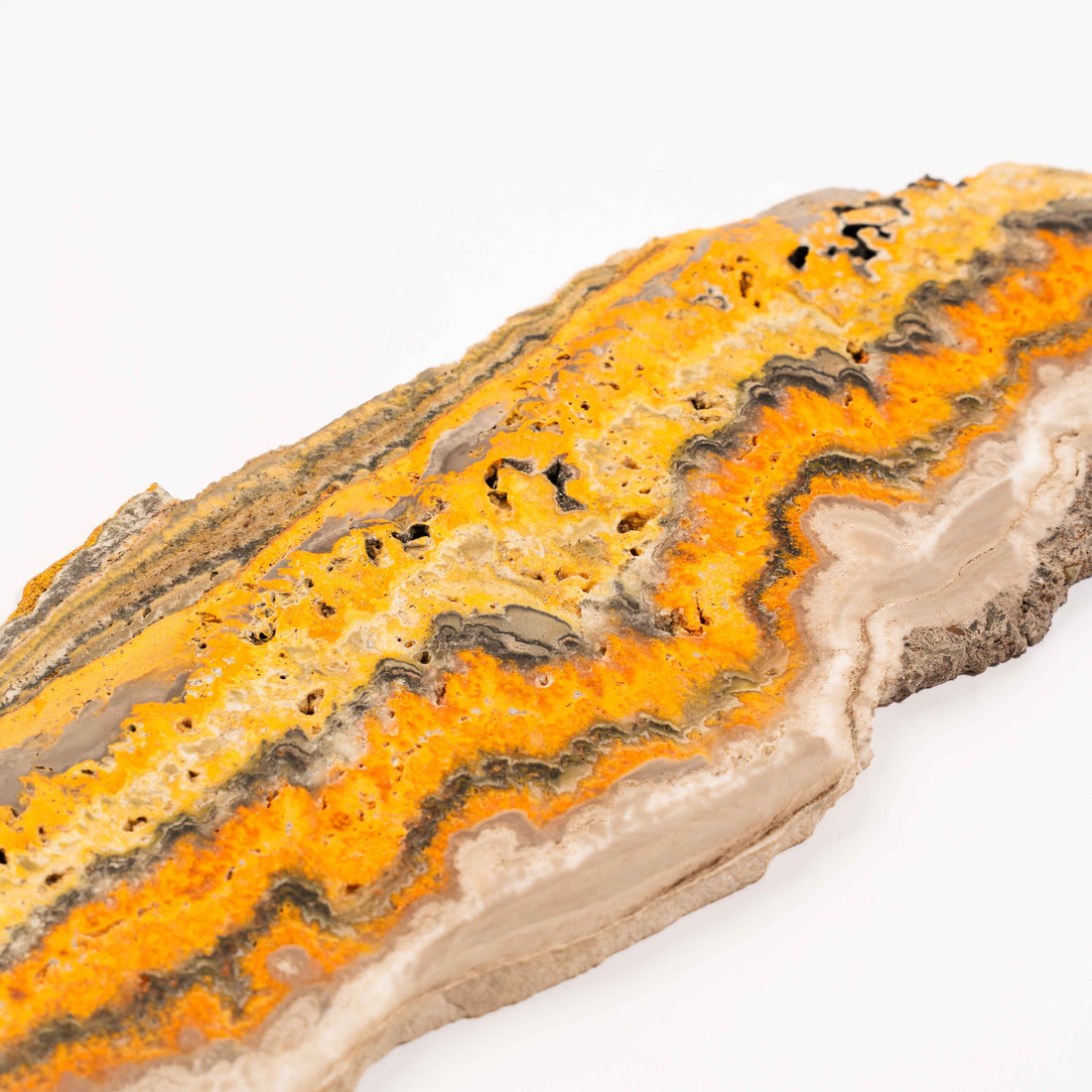 Bumble Bee Jasper - Slab, Large