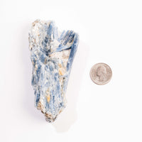 Kyanite, Blue- AA Grade Specimen