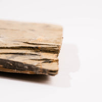 Slaty Shale Record - Earth Love Gallery Collection