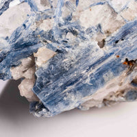 Kyanite, Blue- AA Grade Specimen