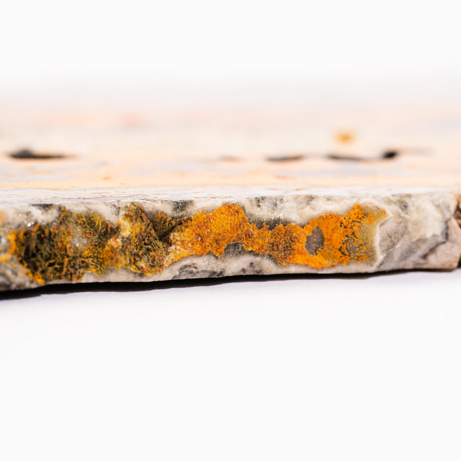 Jasper, Bumble Bee - Slab, Large