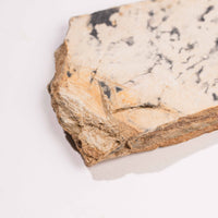 Slaty Shale Record - Earth Love Gallery Collection