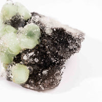 Prehnite w/ Black Quartz - Rough