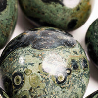 Jasper, Kambaba - Palm Stone(s)