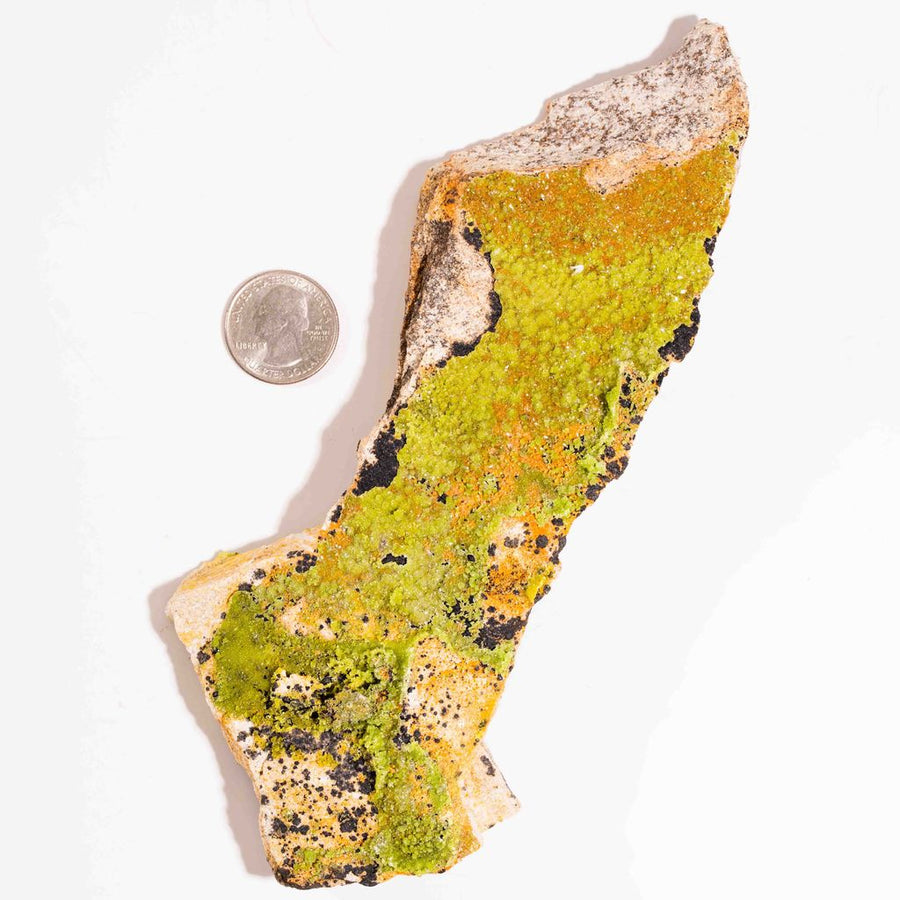 Pyromorphite - Large