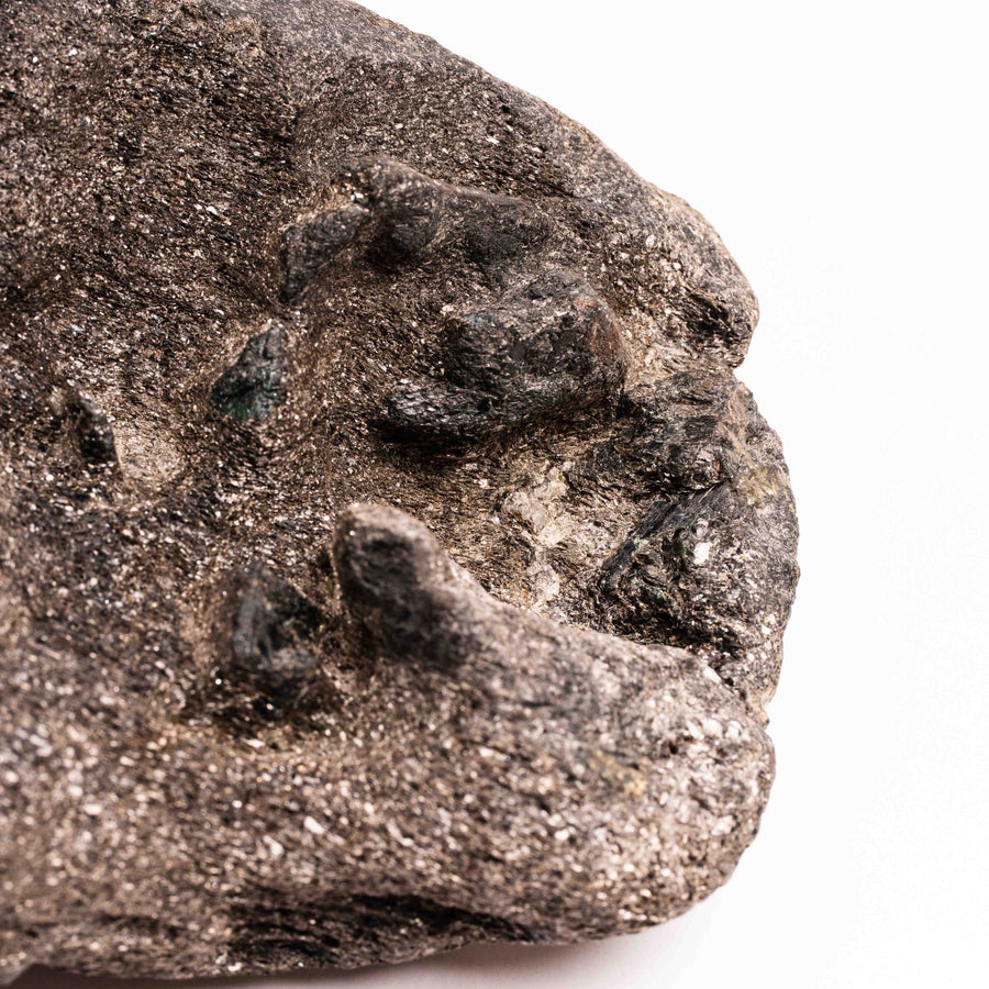 Alexandrite in Mica Schist - Earth Love Gallery Collection