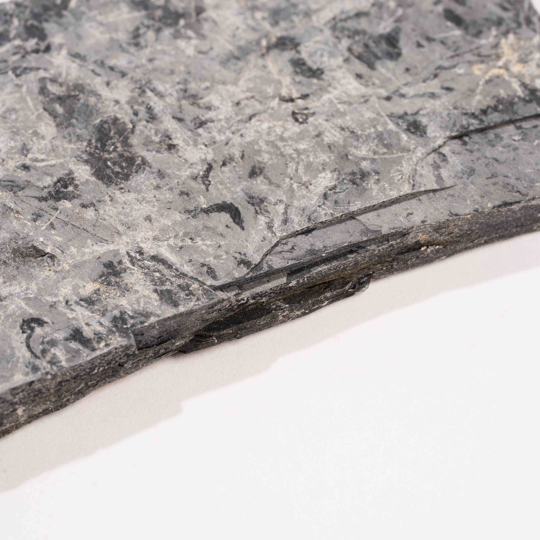 Slaty Shale Record - Earth Love Gallery Collection