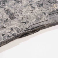 Slaty Shale Record - Earth Love Gallery Collection