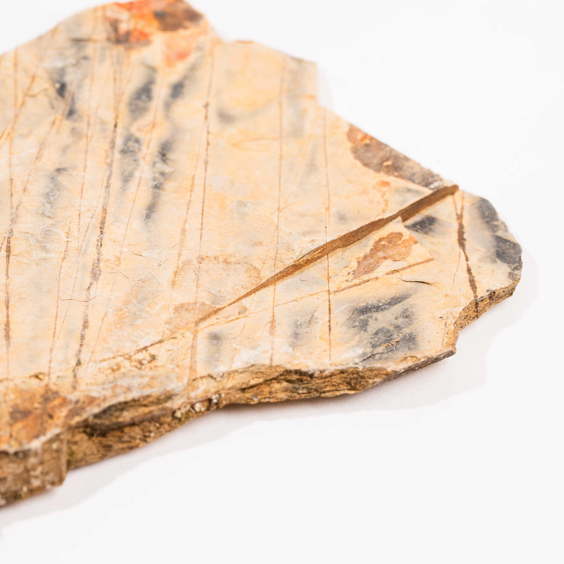 Slaty Shale Record - Earth Love Gallery Collection