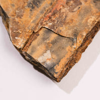 Slaty Shale Record - Earth Love Gallery Collection