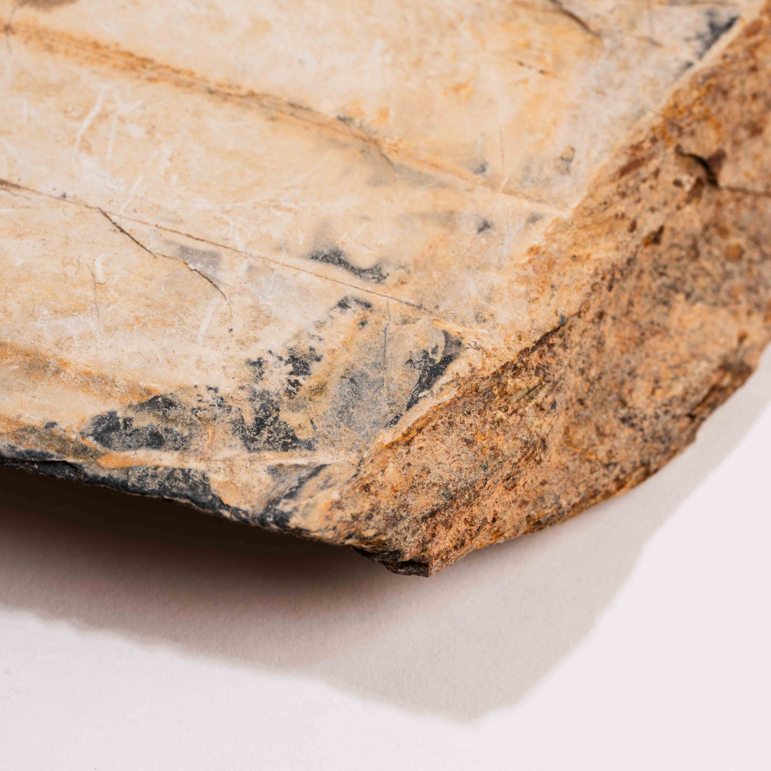 Slaty Shale Record - Earth Love Gallery Collection