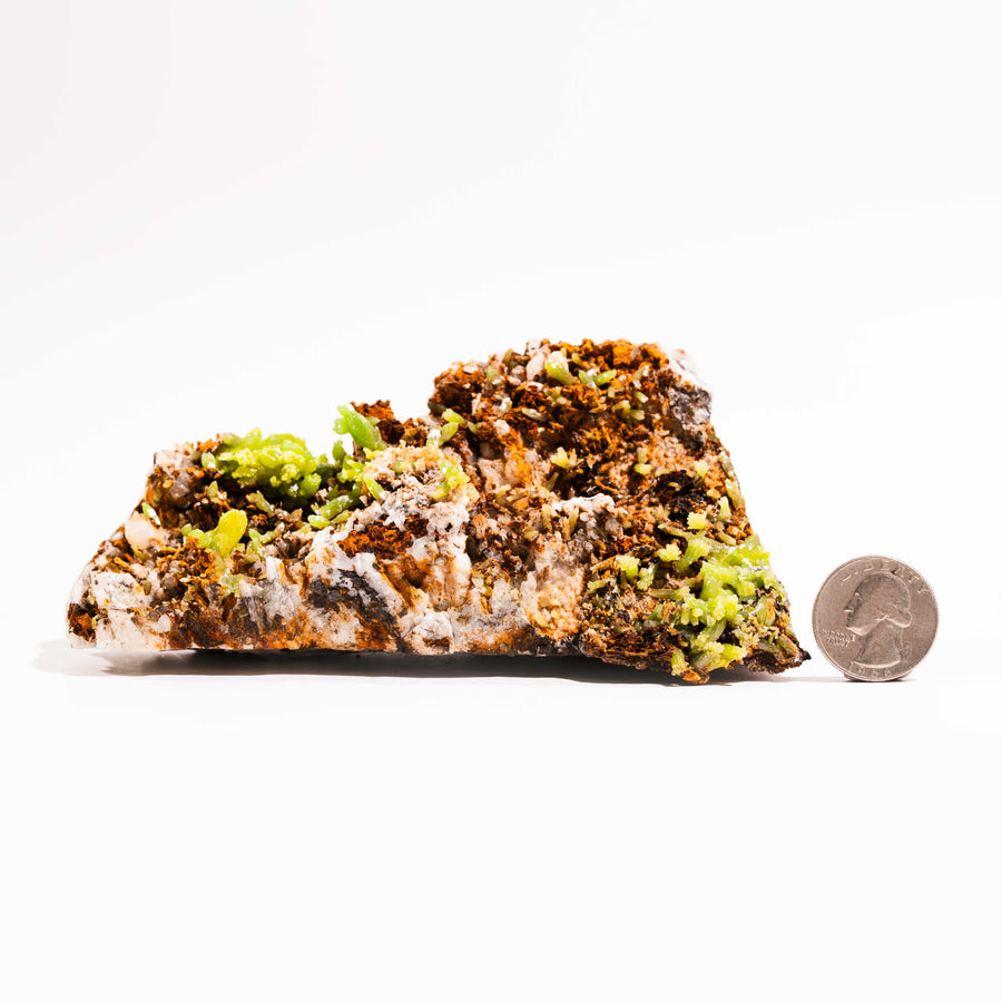 Pyromorphite - Large