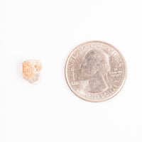 Lunar Meteorite - Bechar 007