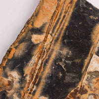 Slaty Shale Record - Earth Love Gallery Collection