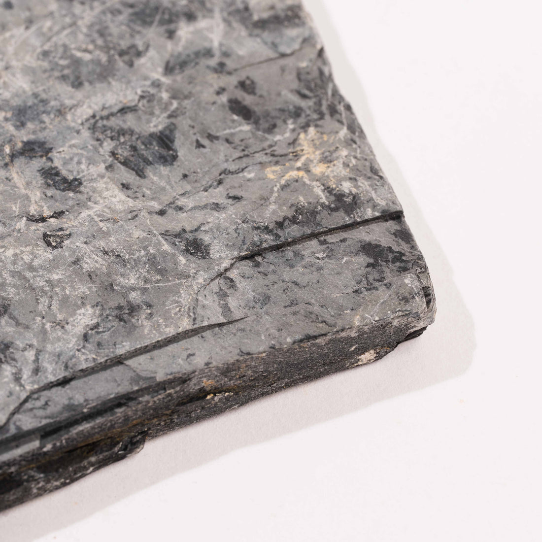 Slaty Shale Record - Earth Love Gallery Collection