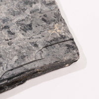 Slaty Shale Record - Earth Love Gallery Collection