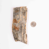 Slaty Shale Record - Earth Love Gallery Collection