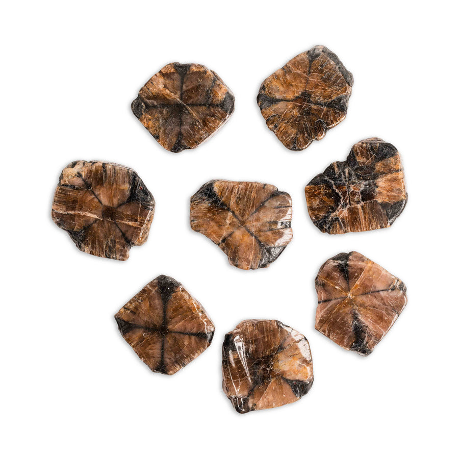 Chiastolite (Andalusite Cross)