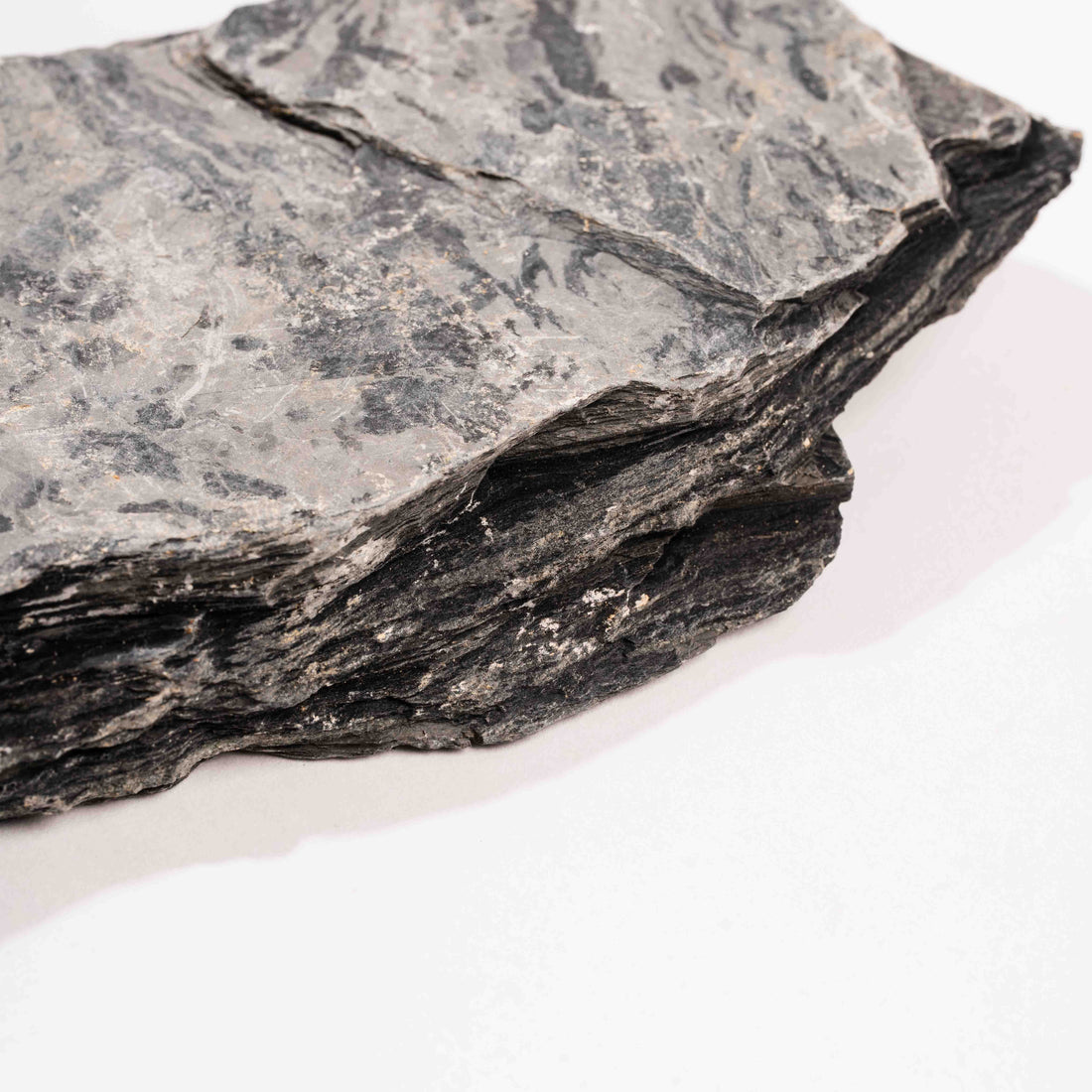 Slaty Shale Record - Earth Love Gallery Collection