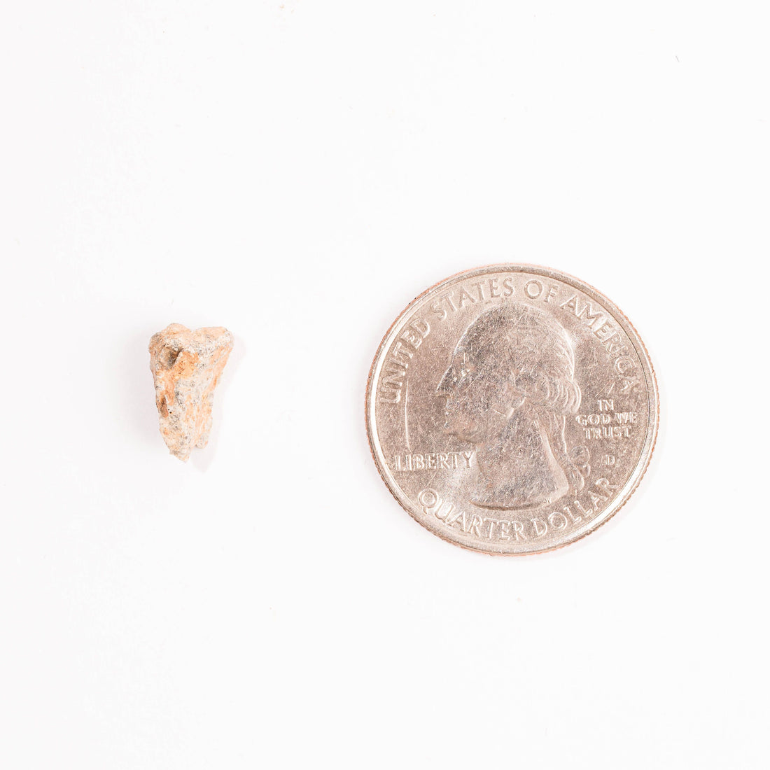 Lunar Meteorite - Bechar 007 – Pink Heart Healing