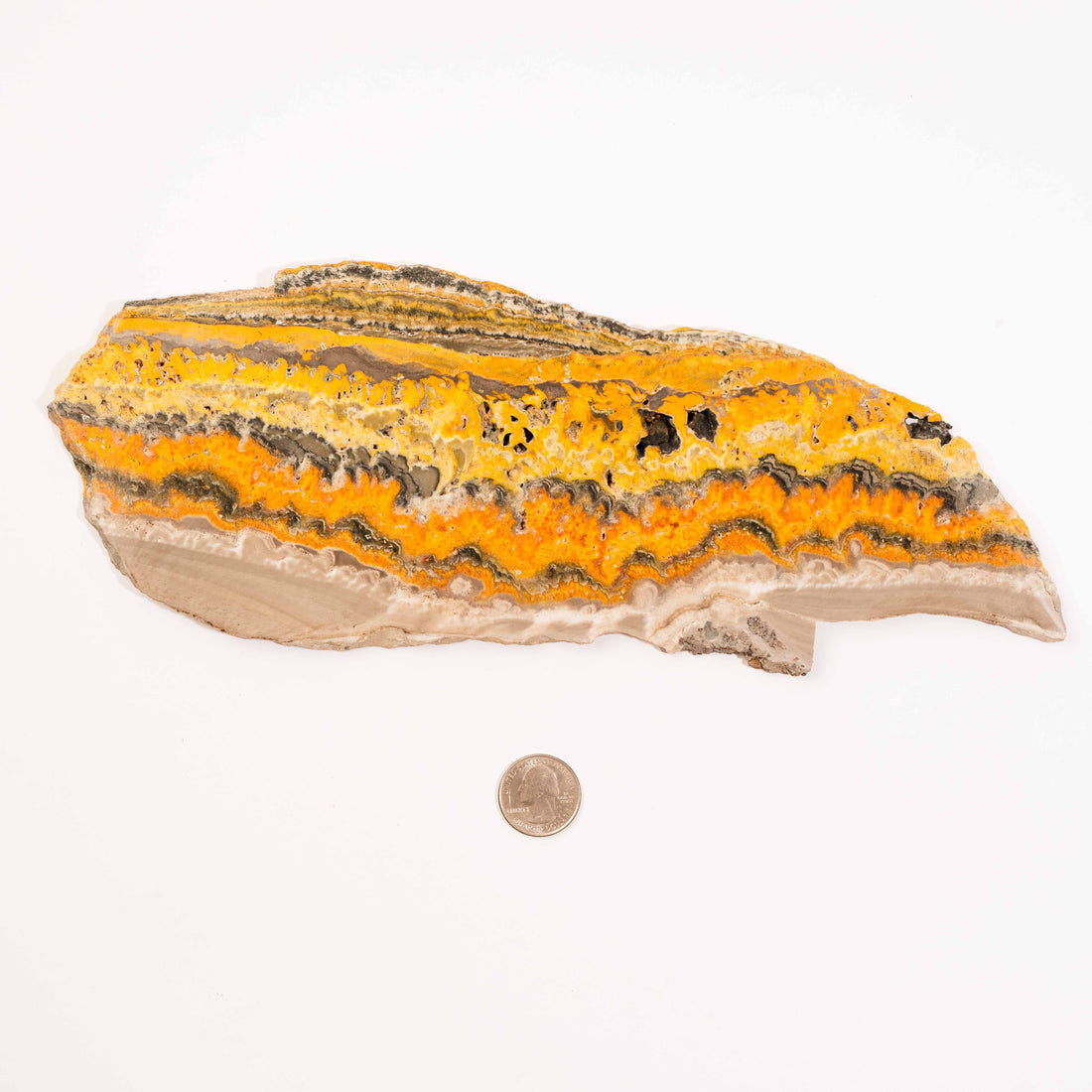 Bumble Bee Jasper - Slab, Large