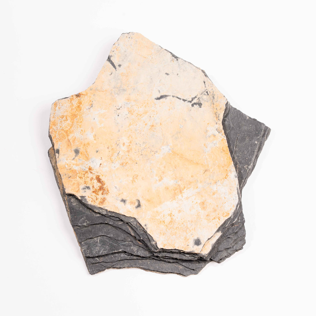 Slaty Shale Record - Earth Love Gallery Collection