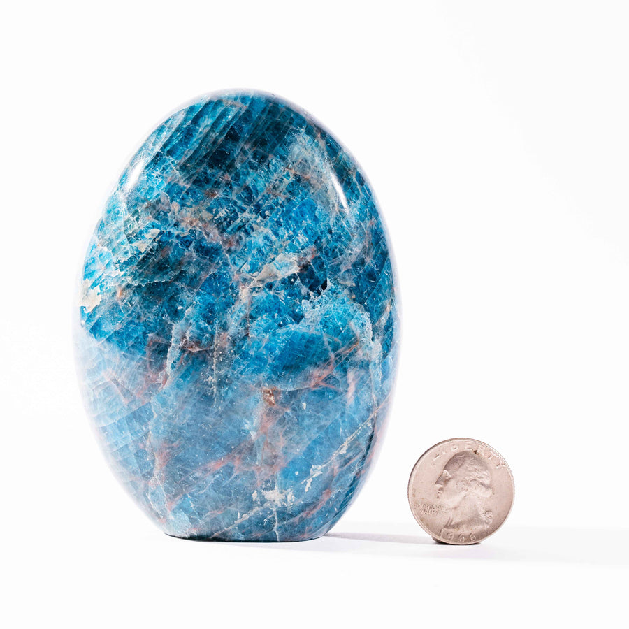 Apatite, Blue - Oval Shaped, Flate Base