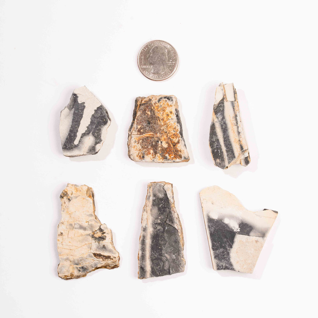 Slaty Shale Record, Intuitive Picks - Earth Love Gallery Collection