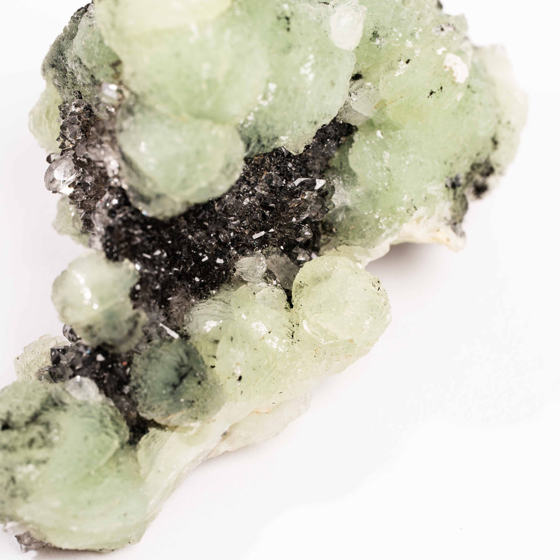 Prehnite w/ Black Quartz - Rough